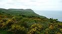 P1000375-  Sur le sentier cotier reliant Charmouth a Golden cap